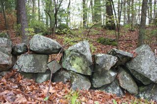 Generic stone wall as a result of forest conversion