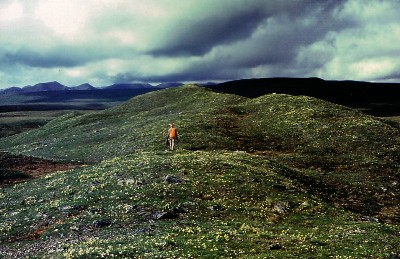 Glacial deposits in the Brooks, Range, Alaska