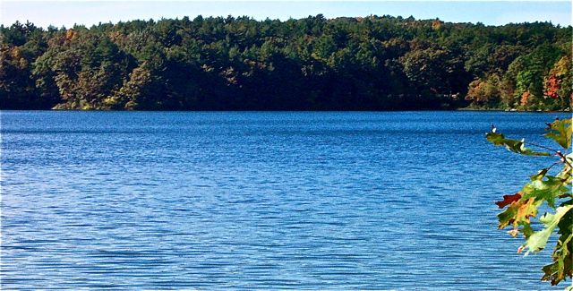 View of the south shore of Walden's western basin