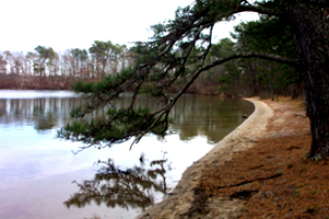 Nickerson State Park