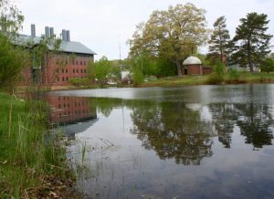 Swan Lake and Chemistry Building