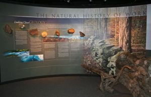 Natural History Museum Exhibit