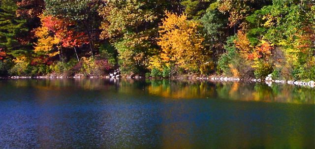 Autumn Pond