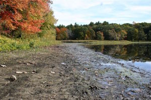 BoatM-FairhavenShore