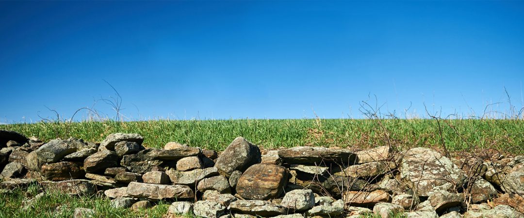 A stone wall along RT 195 near the Jacobson Barn